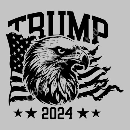 trump 2024 election themed illustration black white vector Thumbnail