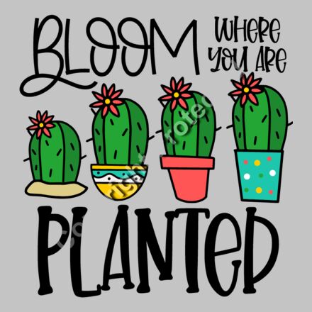 Plants Thumbnail